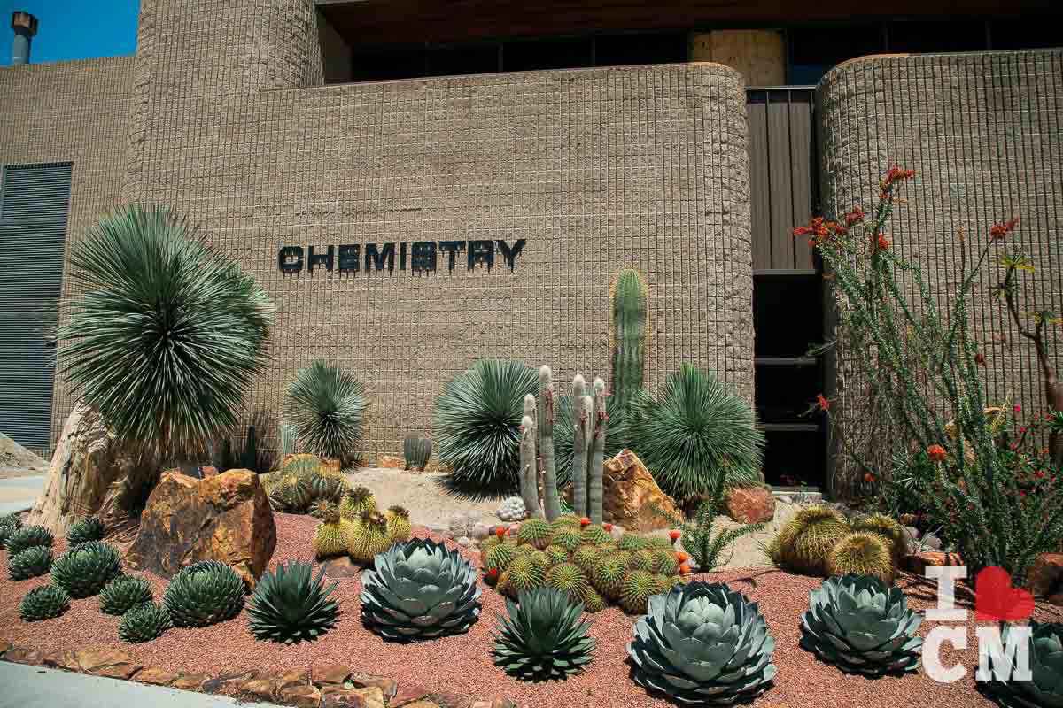 Orange Coast College: Some Cool Xeriscaping Outside The Chem Building