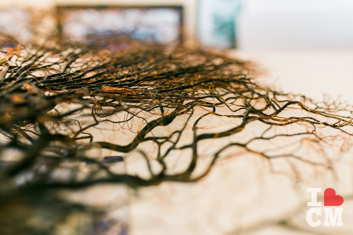 Framing a Sea Fan at Best Framing in Costa Mesa, California