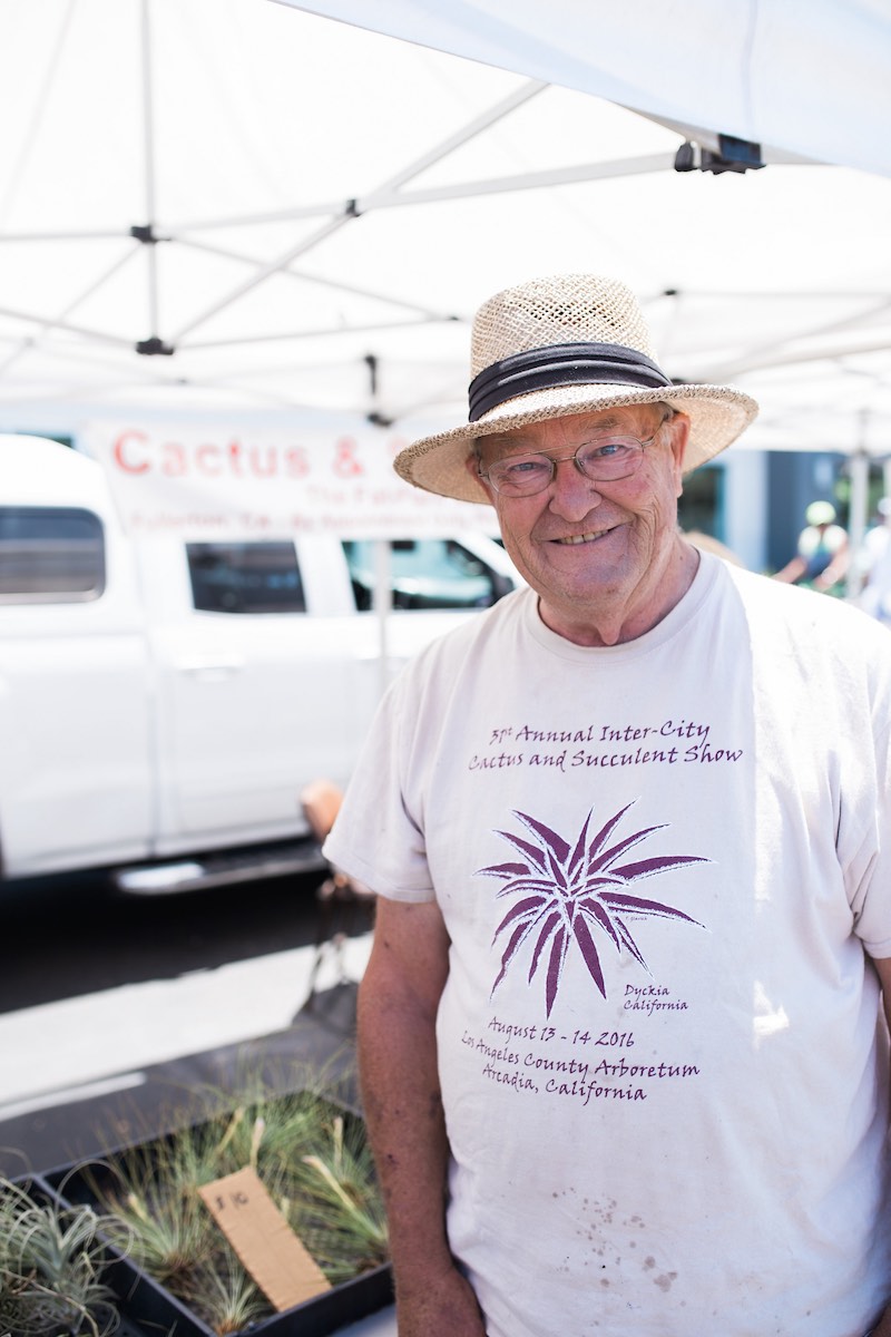 Crazy For Caudiciforms: The Fat Plant Man Brings "Fat Plants" Of Every Shape And Size to SOCO Farmers' Market, Saturdays in Costa Mesa