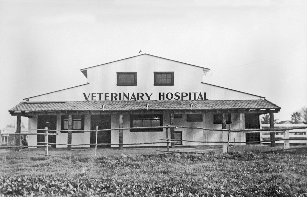 The Original 1947 Newport Harbor Animal Hospital Building Costa Mesa, California