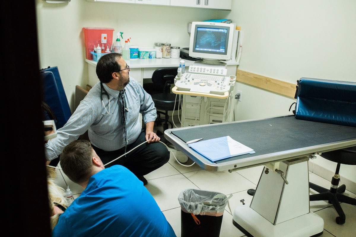 Dr. Ashbran performs an ultrasound at Newport Harbor Animal Hospital in Costa Mesa, California