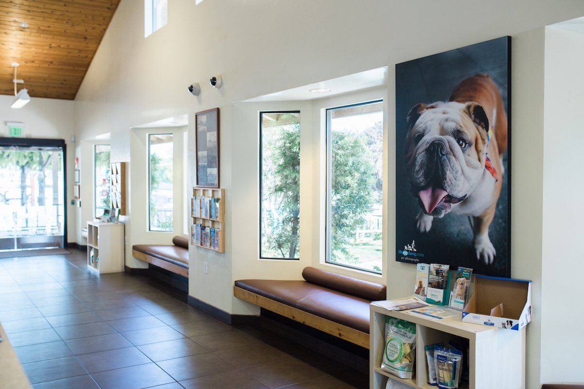 The Lobby at Newport Harbor Animal Hospital and Veterinary Practice in Eastside Costa Mesa, California