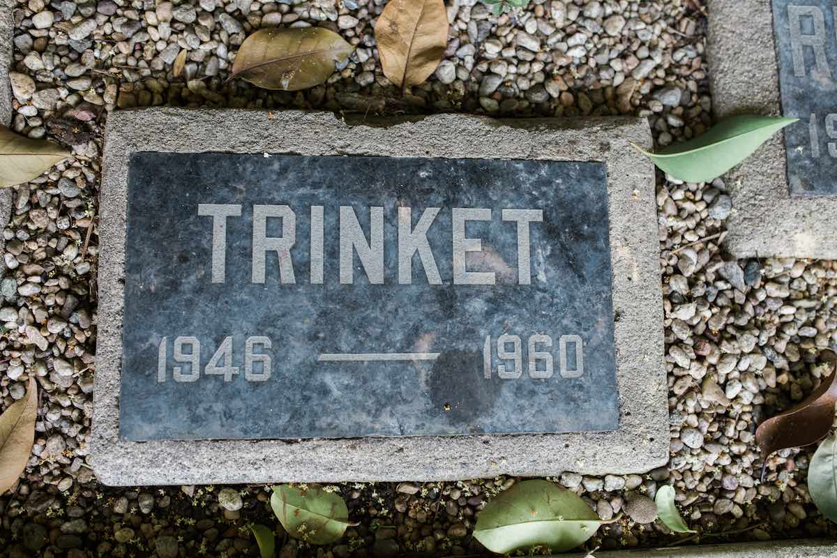 Historic Grounds: Gravestones Mark The Memories of Beloved Pets Long Past at Newport Harbor Animal Hospital in Costa Mesa