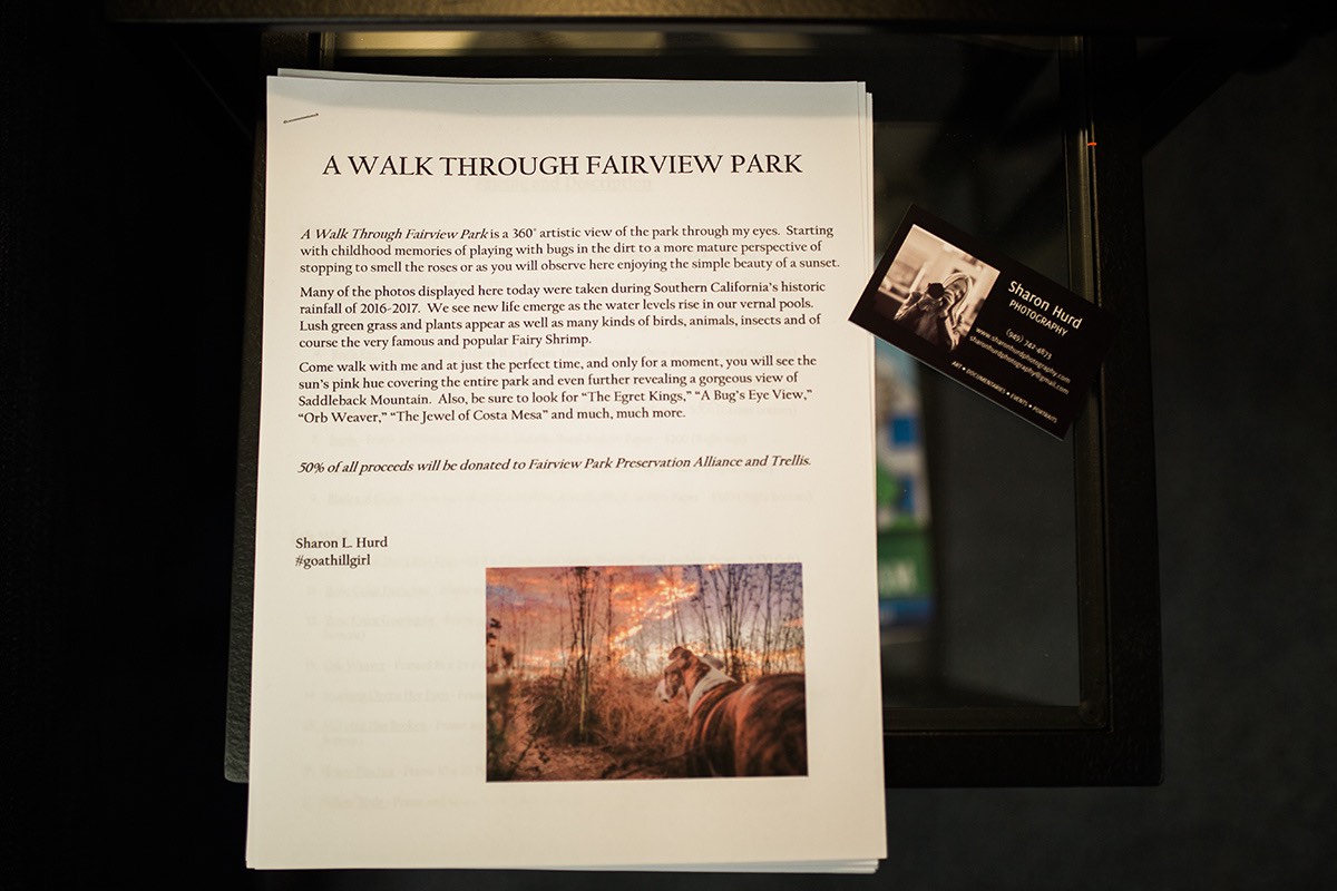 Sharon Hurd, A Walk Through Fairview Park Exhibit in Costa Mesa, California