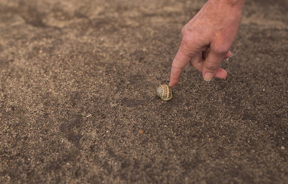 Photographer Sharon Hurd Points Out A Snail Shell at Fairview Park in Costa Mesa, California