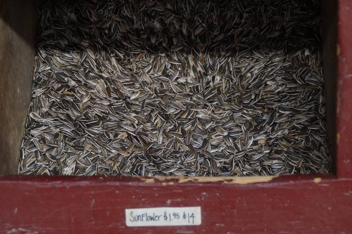 Sunflower seeds are for sale in an animal feed section of the Feed Barn in Costa Mesa. The seed are within a wooden display bin that customers can scoop out of. (photo: Bradley Zint)