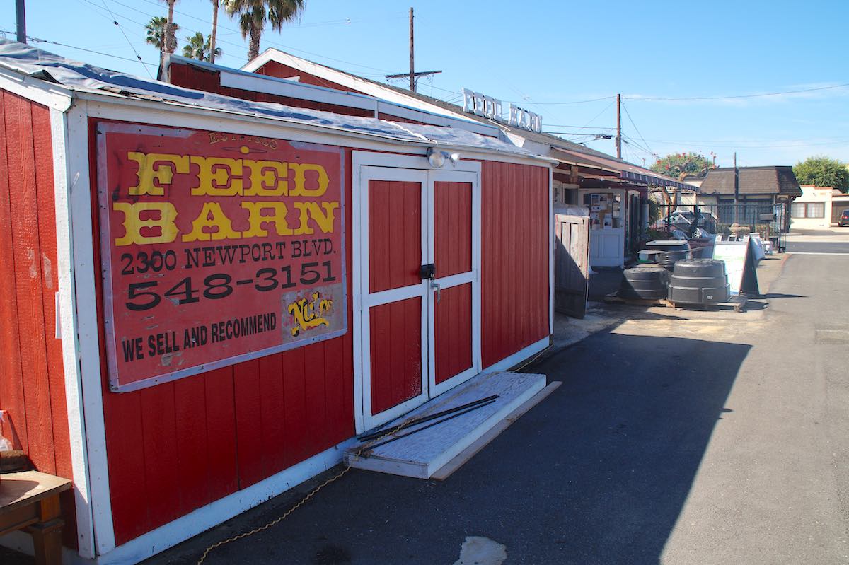 The Feed Barn first opened in Costa Mesa in 1943. It moved to its present location at 2300 Newport Blvd. in the 1970s. It sells various animal supplies and food, including food for household pets. (photo: Bradley Zint)