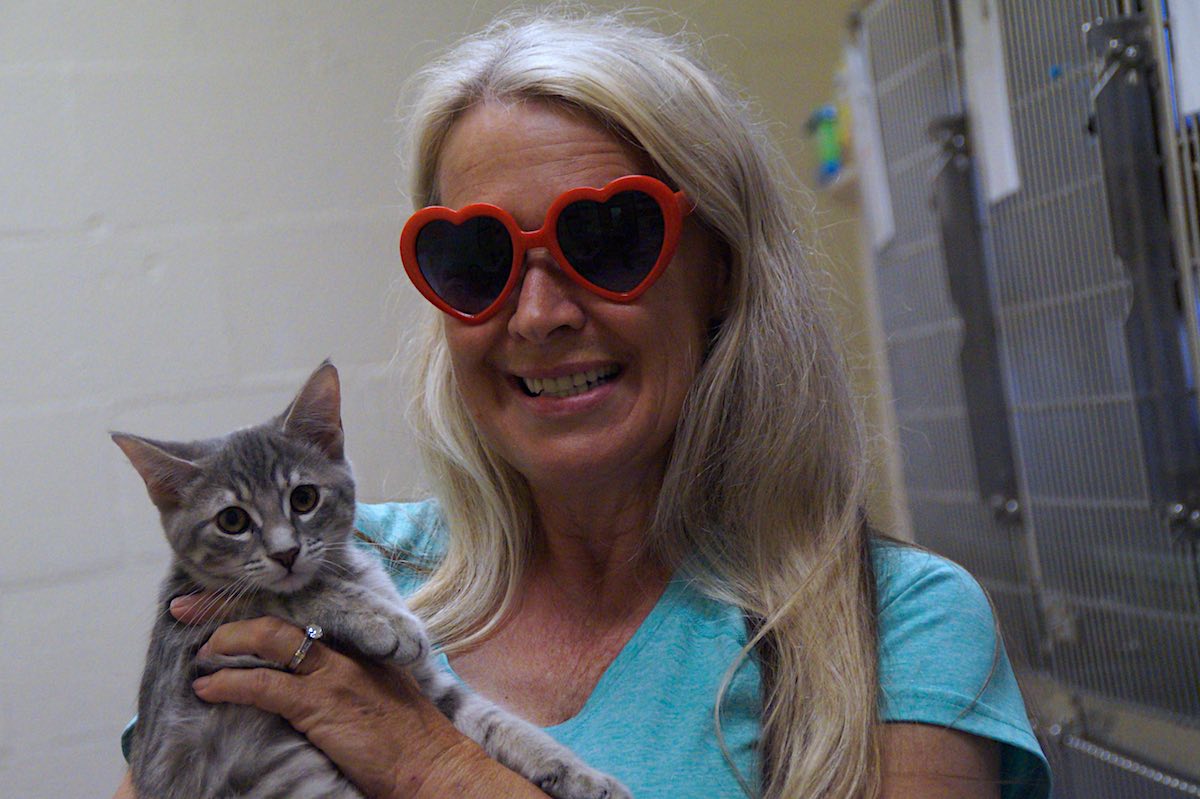 Elizabeth Chavez, president of Oppurrtunities, holds Billie - a cat who has since been adopted. Chavez runs the cat rescue nonprofit out of a donated space inside Costa Mesa's PetSmart store on West 17th Street. (photo: Bradley Zint)