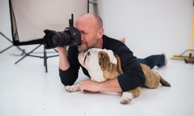 Furry Photography: Dogma Pet Portraits