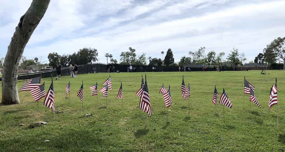 Day 103: The Wall That Heals