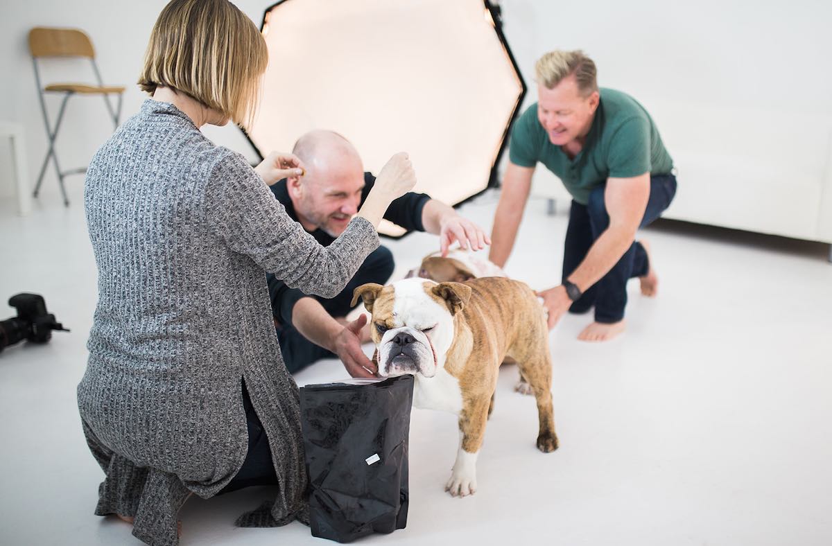 Shooting Dogs is a lot like Herding Cats, at Dogma Pet Portraits in Costa Mesa, Orange County, California.