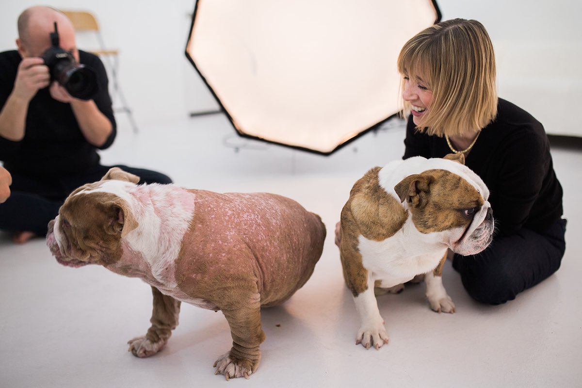 Shooting Dogs is a lot like Herding Cats, at Dogma Pet Portraits in Costa Mesa, Orange County, California.