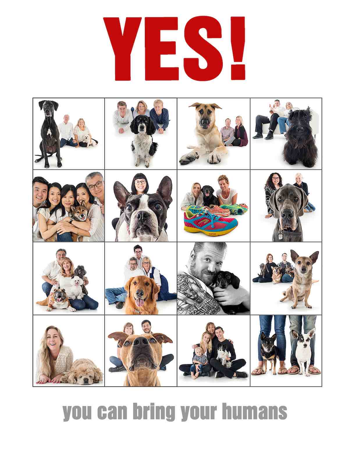 Yes! Bring Your Humans! At Dogma Pet Portraits in Costa Mesa, Orange County, California.