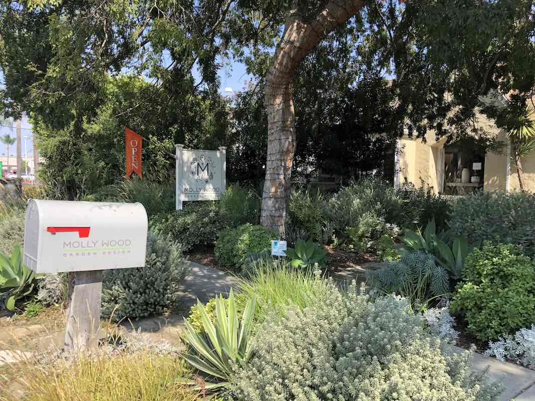 I Heart Costa Mesa Outside Is In Molly Wood Garden Design