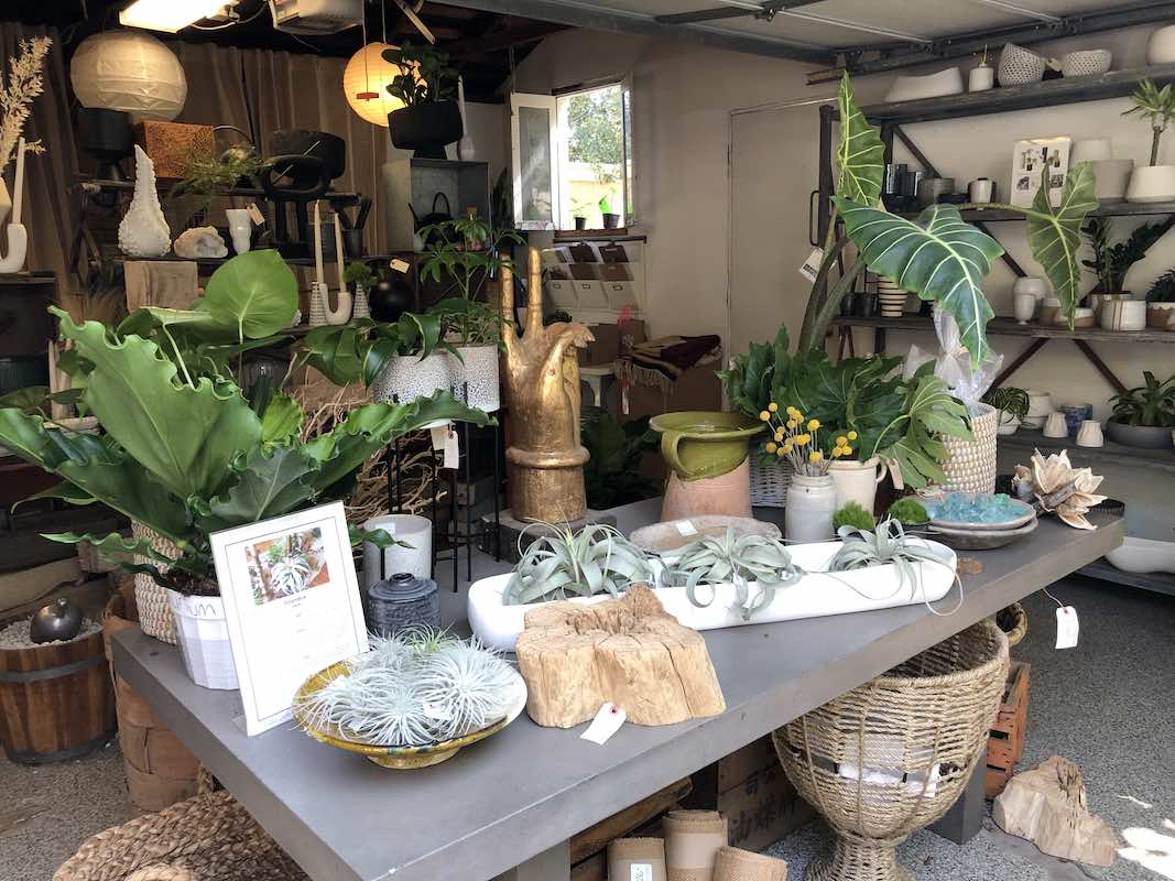 I Heart Costa Mesa: Peace and Plants at Molly Wood Garden Design in Eastside Costa Mesa, Orange County, California. (photo: Samantha Chagollan)