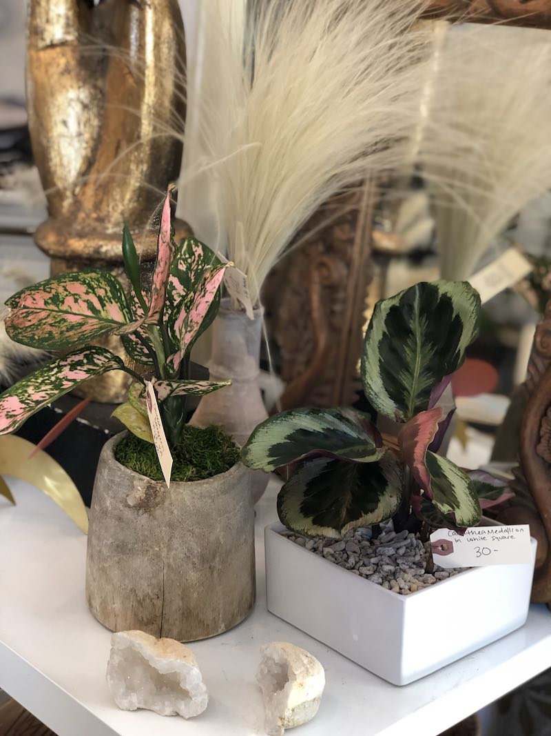 I Heart Costa Mesa: Plants and Geodes at Molly Wood Garden Design in Eastside Costa Mesa, Orange County, California. (photo: Samantha Chagollan)