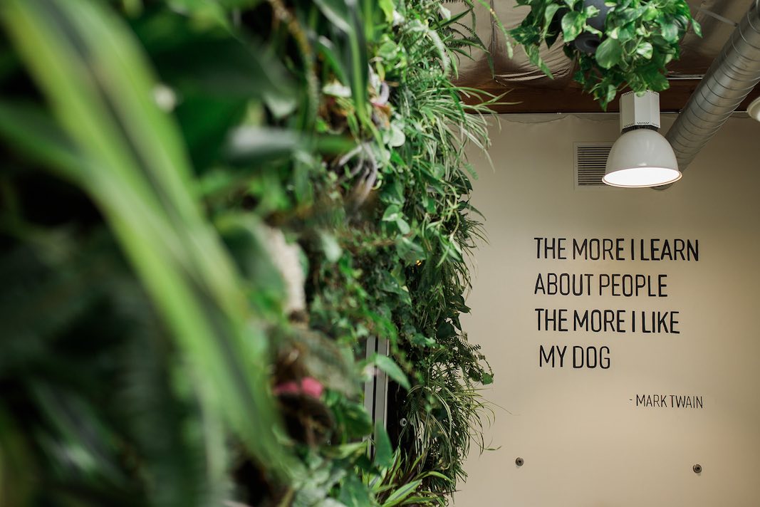 I Heart Costa Mesa: Mark Twain Quote, and a living wall of plants, in the lobby of Hydrant Pet Hotel in Westside Costa Mesa, Orange County, California. (photo: Brandy Young)