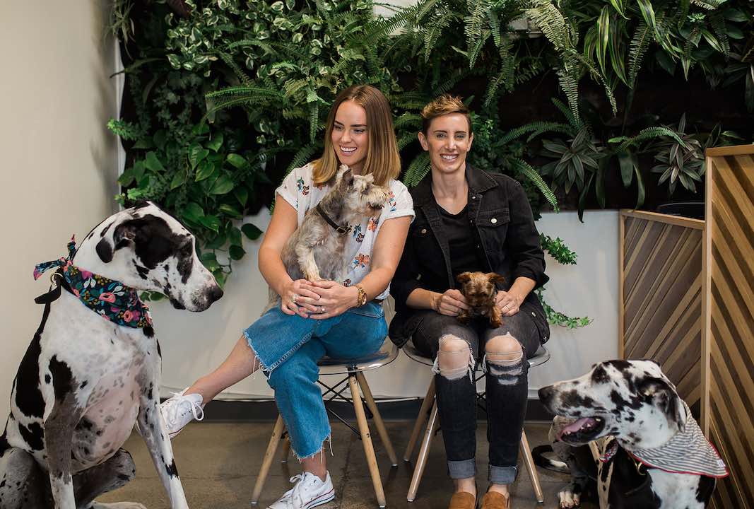 I Heart Costa Mesa: Megan Flynn and Brooke Bradford, co-founders of Hydrant Pet Hotel in Westside Costa Mesa, Orange County, California. (photo: Brandy Young)