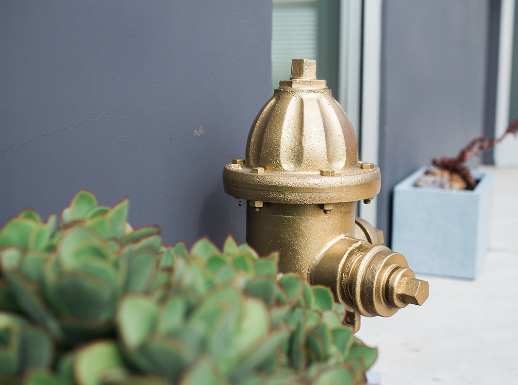 I Heart Costa Mesa: A Golden Hydrant Adorns the front of Hydrant Pet Hotel in Westside Costa Mesa, Orange County, California. (photo: Brandy Young)